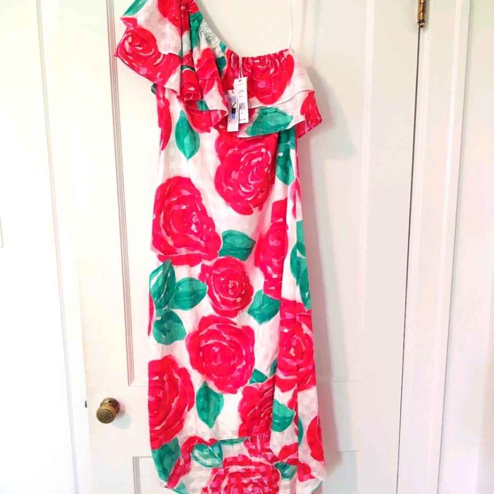 Limited Edition Derby Dress